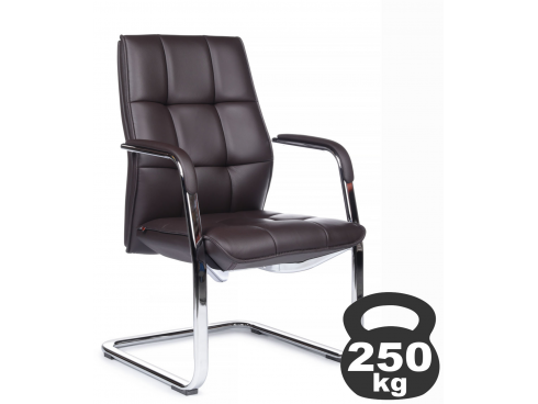 Classic C2116
