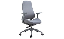 Bug Grey